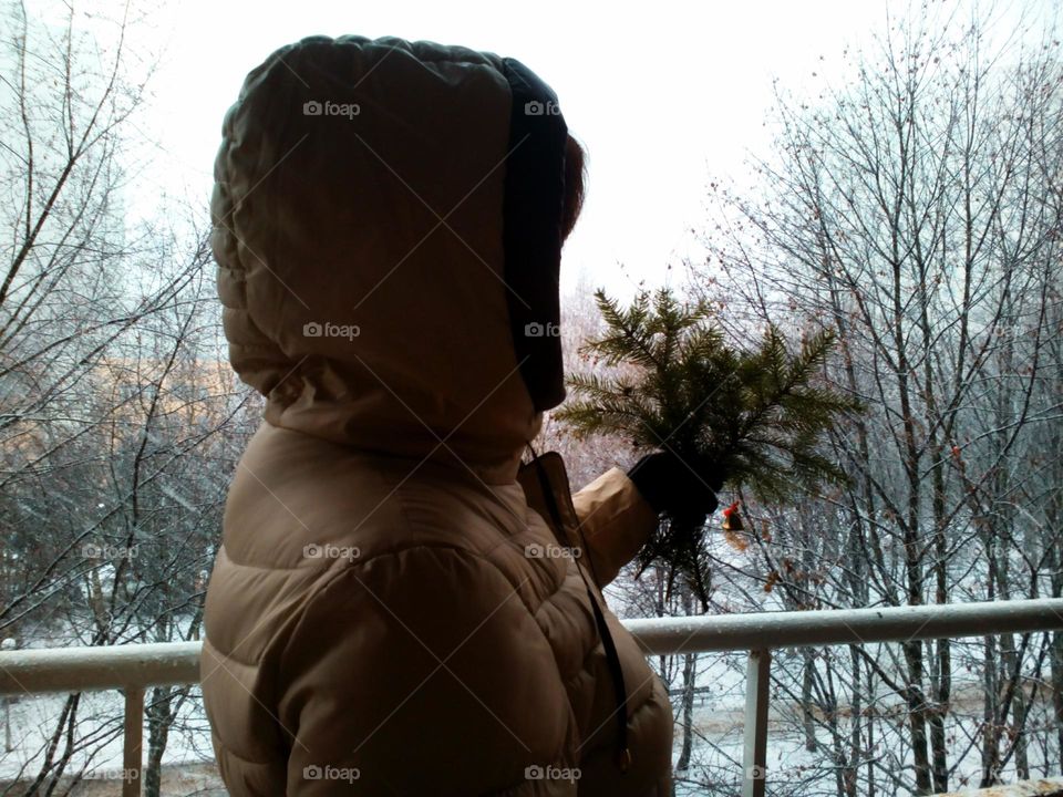 christmas time woman and fir branch