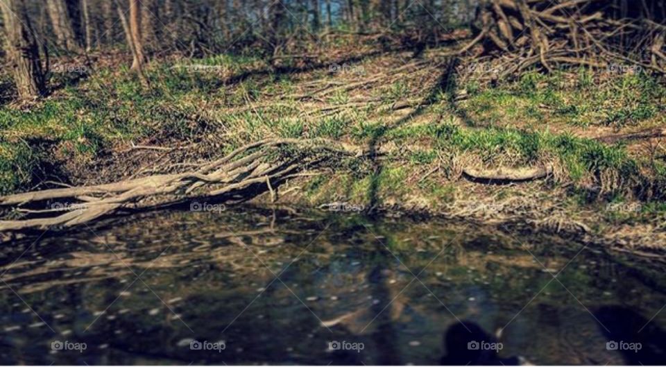 My mother named nature