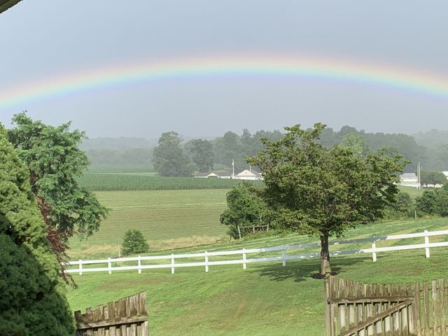 Rainbow 
