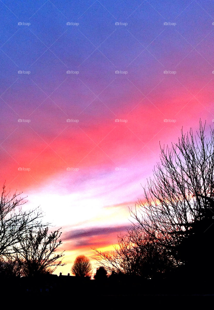 Sunset through the trees