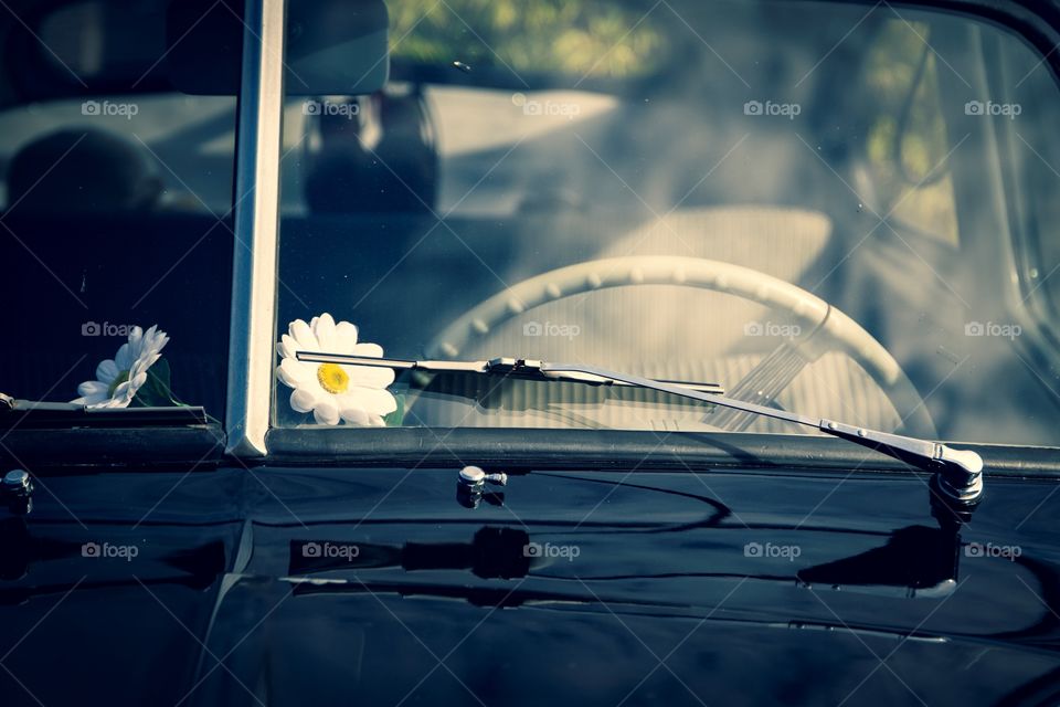 A portrait of the windshield of an oldtimer car. behind the glass of the window there is a flower. you can also see the windshield wipers.