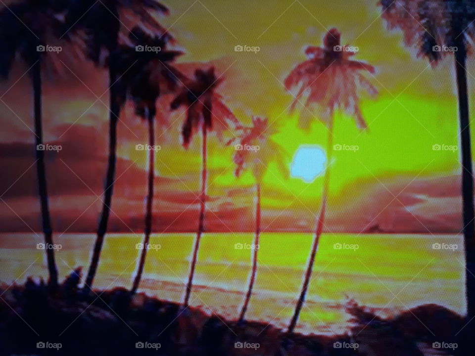 A beautiful sunset with a golden landscape in the background