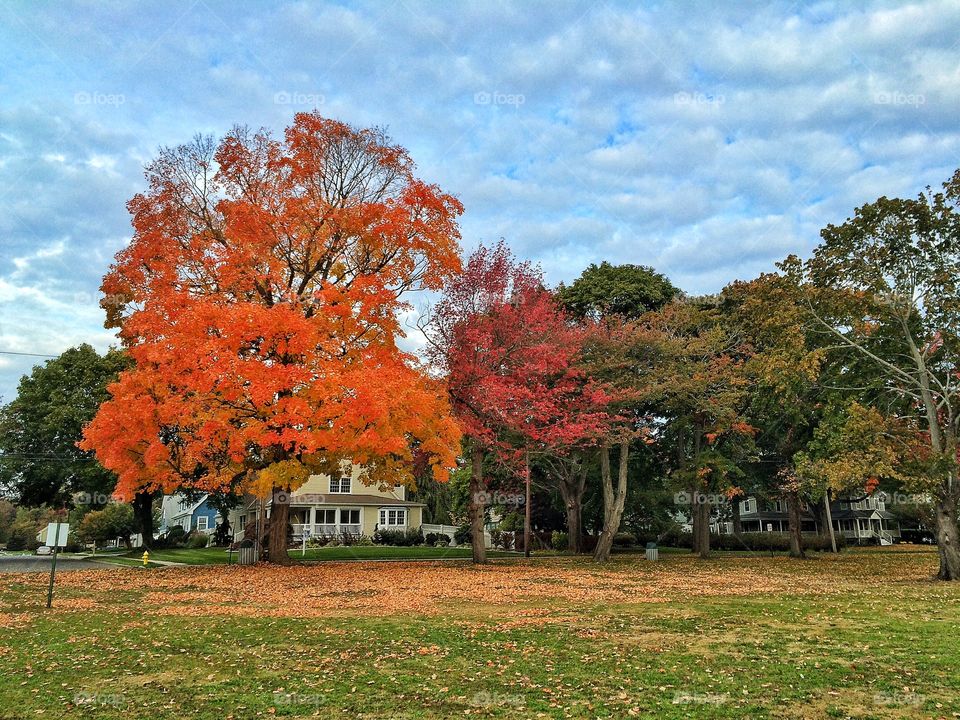 Milford, CT. Autumn 