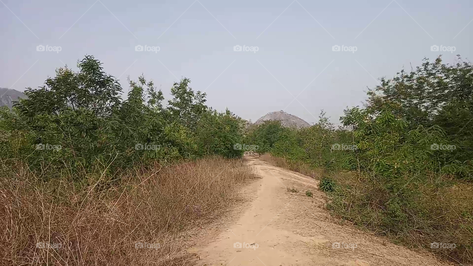 Indian🇮🇳 🌲 path to Hill's and mountain🗻🗻