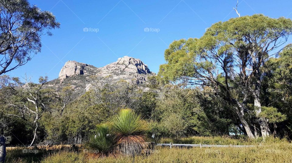 tasmania