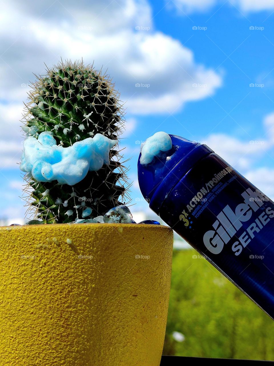 There is a yellow pot with a prickly cactus on the windowsill. Shaving gel in the form of a smile on a cactus. Next to it is a bottle of Gillette series shaving gel. Green trees and blue sky with white clouds in the background
