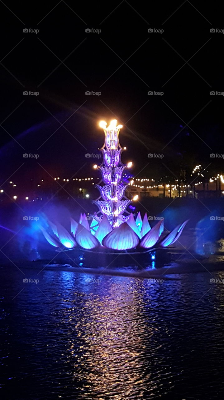 Blues and purples brighten the night over the Discovery River during Rivers of Light at Animal Kingdom at the Walt Disney World Resort in Orlando, Florida.