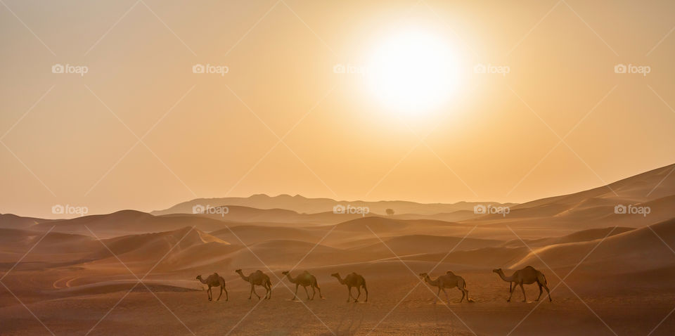 Dry hot climate in the desert