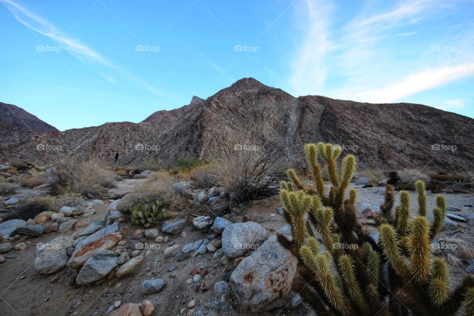 Fall hike, San Diego