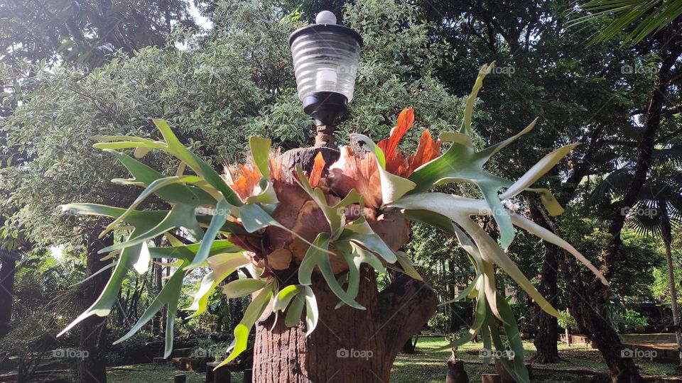 Unique Garden Lamp