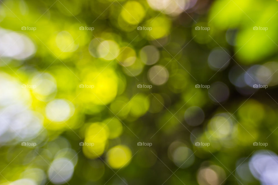 bokeh in nature
