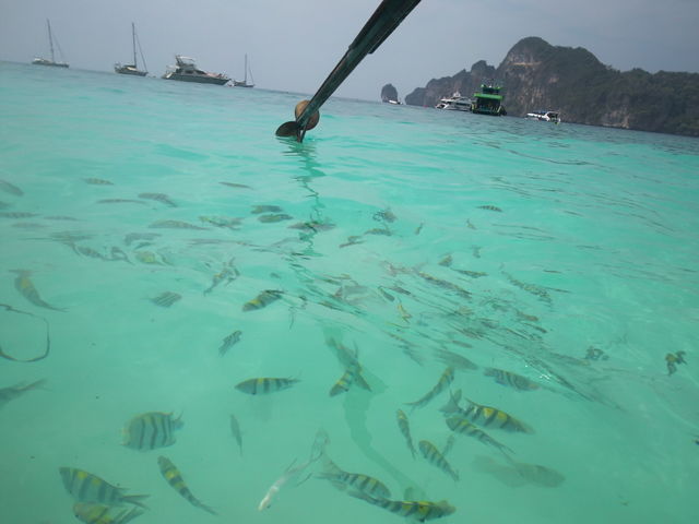fishing