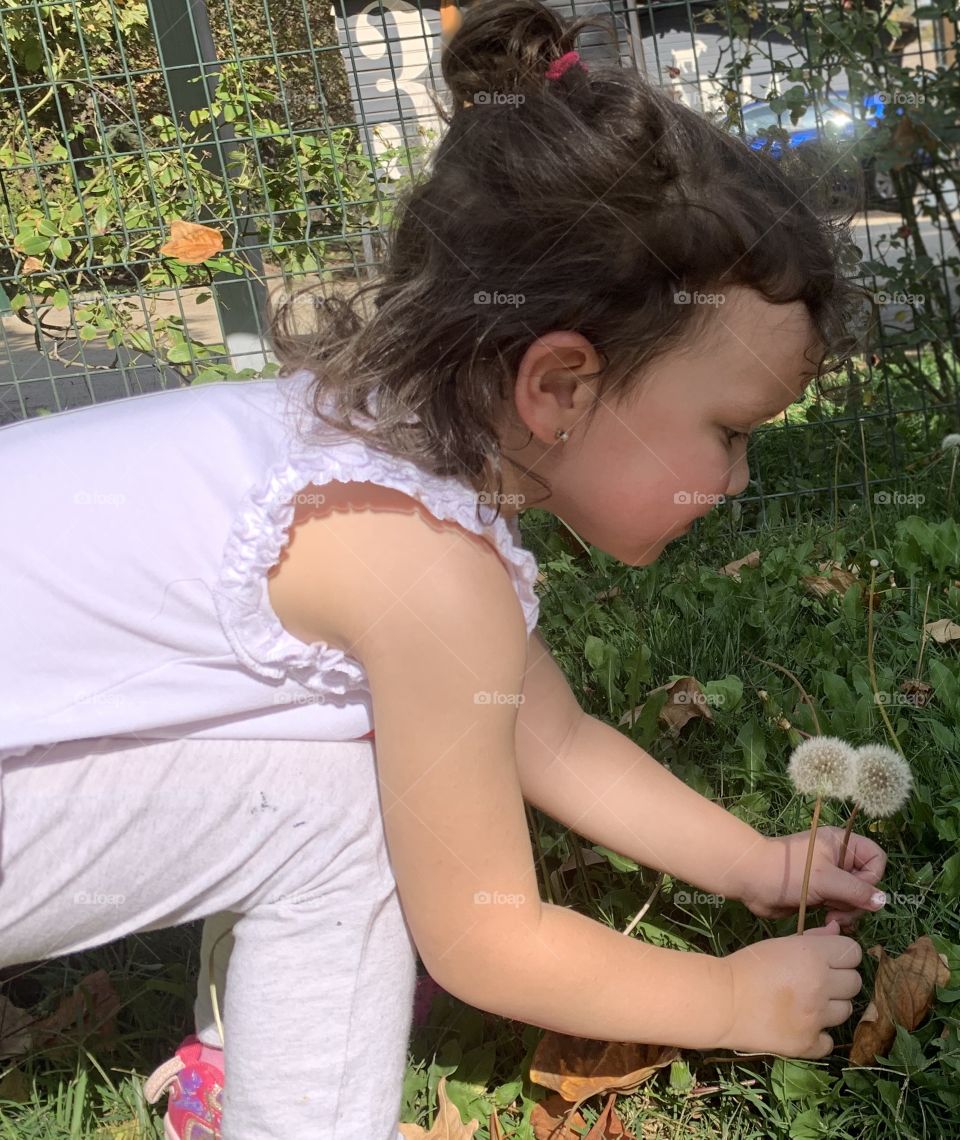 Niña y flores. Dientes de leon. Feliz hija perfecta