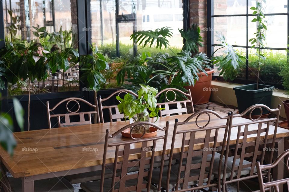 Cafe interior with wooden and metal , green plants and big windows