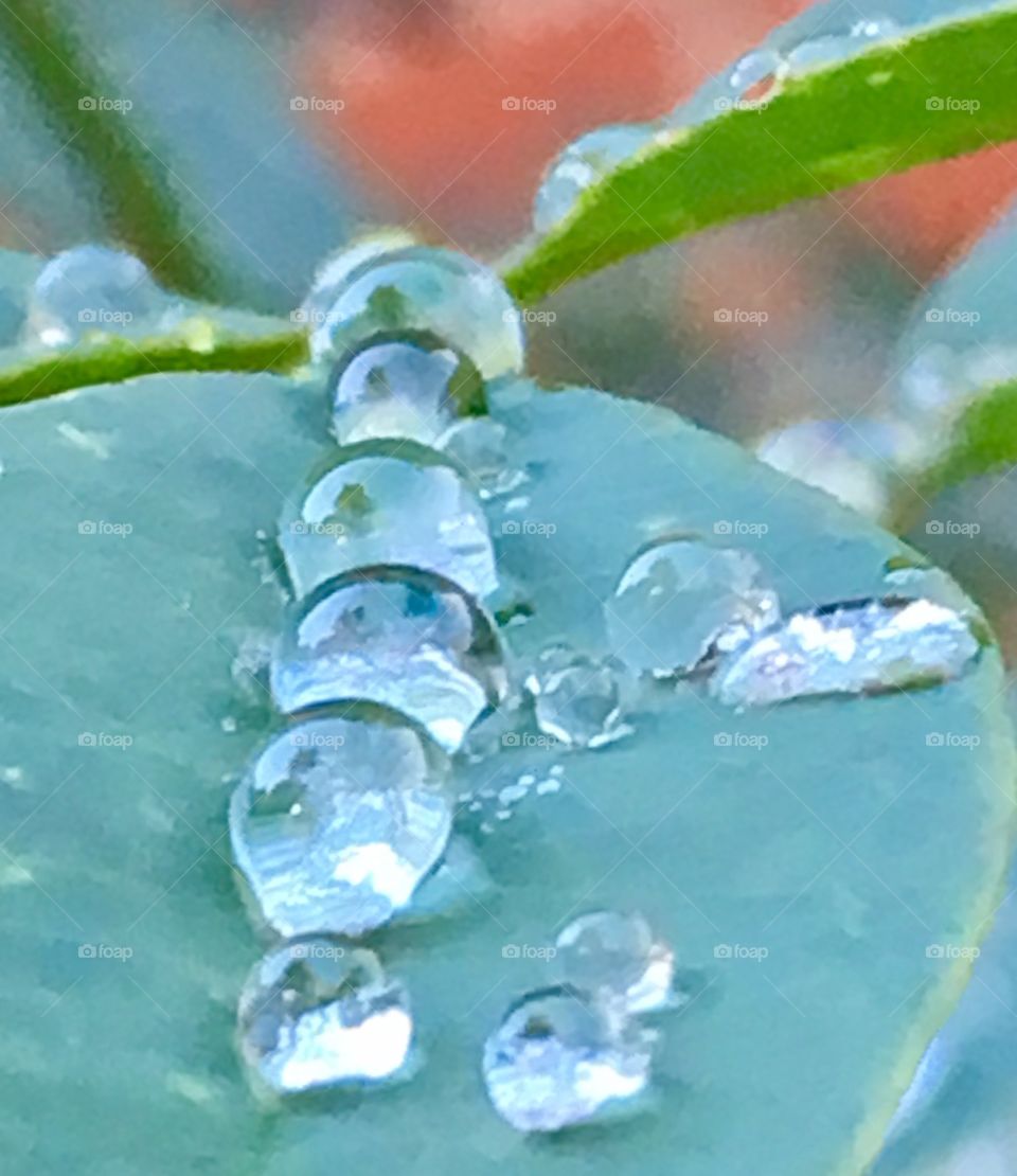 Orderly droplets