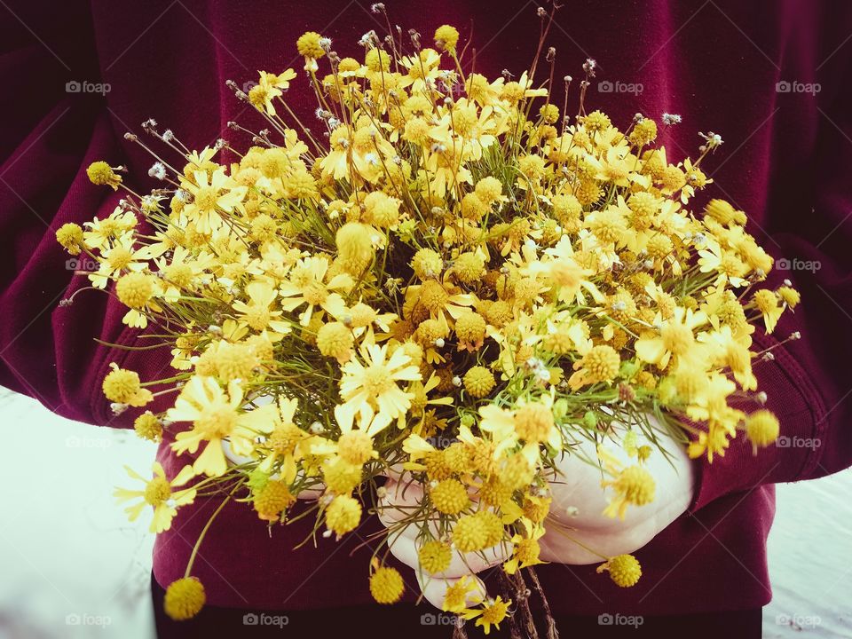 A Person Holding a Bouquet of Wildflowers