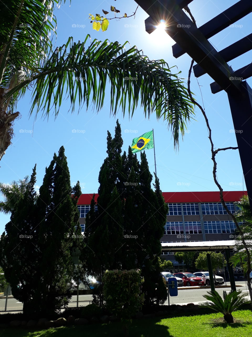 Bandeira da pátria brasileira em dia de sol e vento e natureza