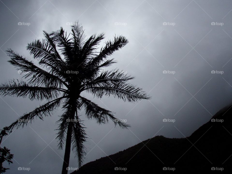 In the valley. In the valley