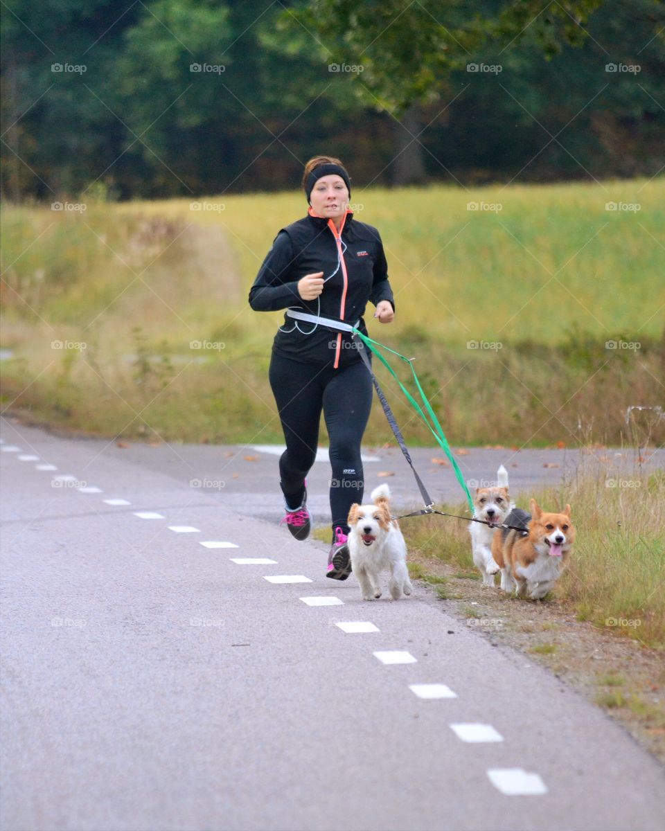 Dog, People, Road, Adult, Woman