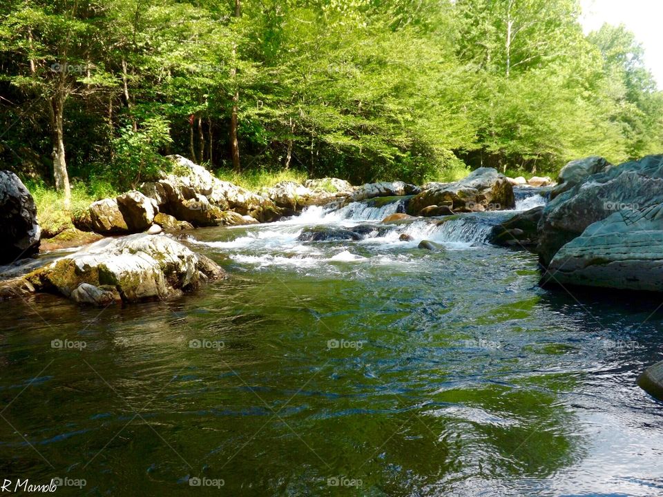 Smoky Mountain Creek 