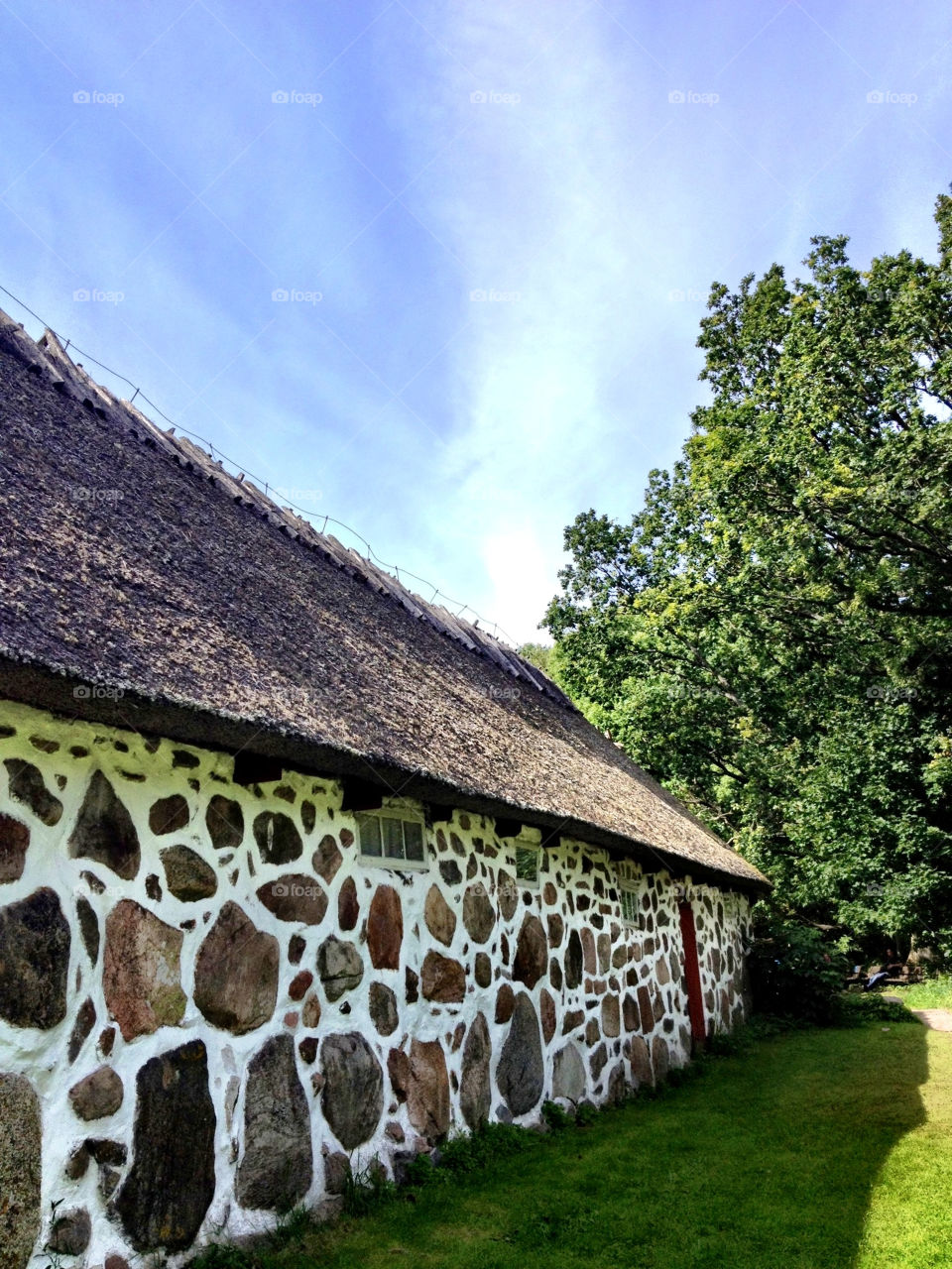 sky blue wall trees by nitha75