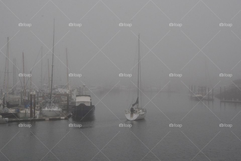 Marina in the fog 