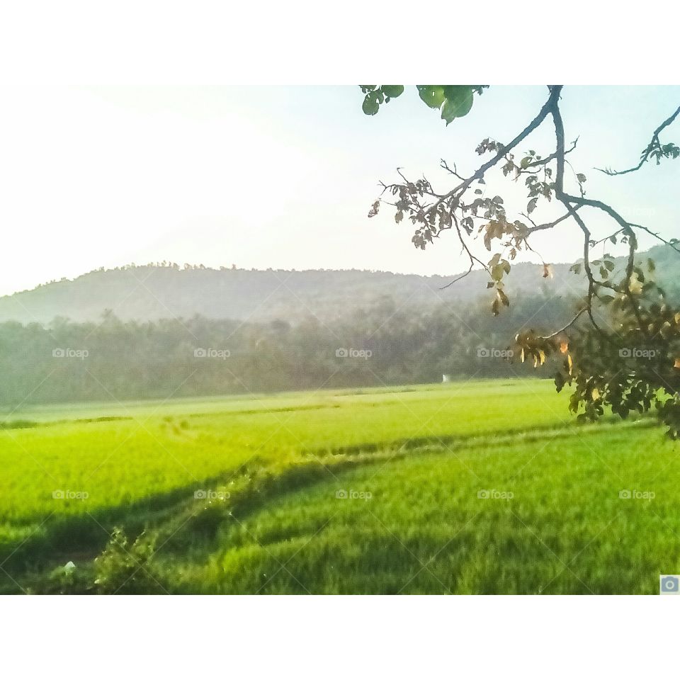 morning of vazhalikavu