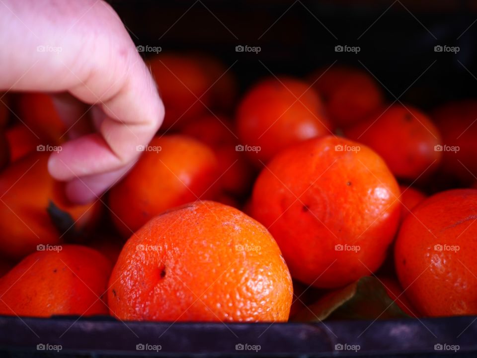 Close-up of hand holding oranges