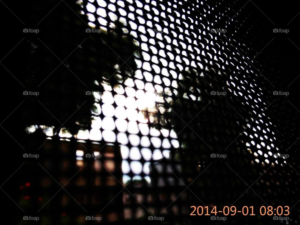 Sunrise behind the Bars