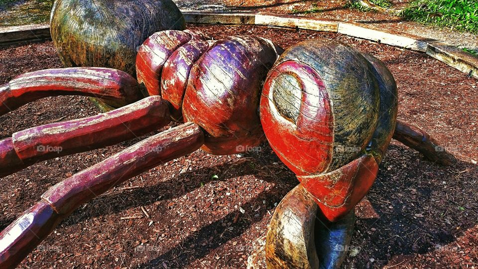 giant ant. found in the woods 