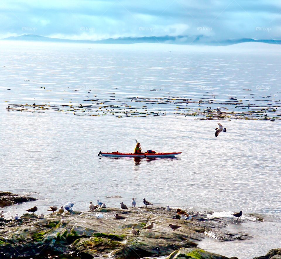 Ocean kayaking among birds and cloudy skies 