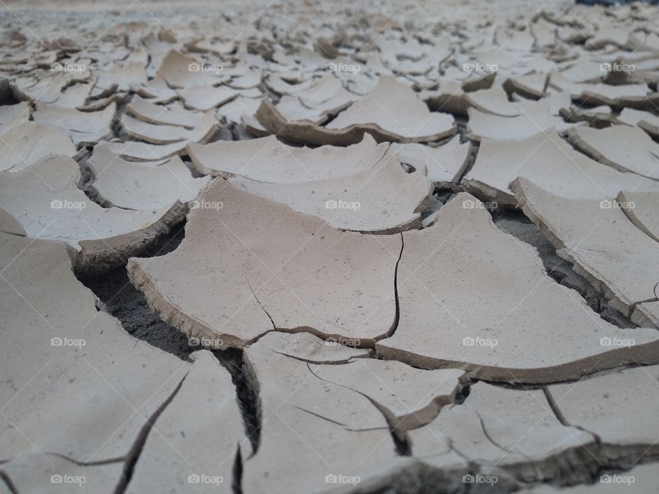 A beautiful flake of dried mud.