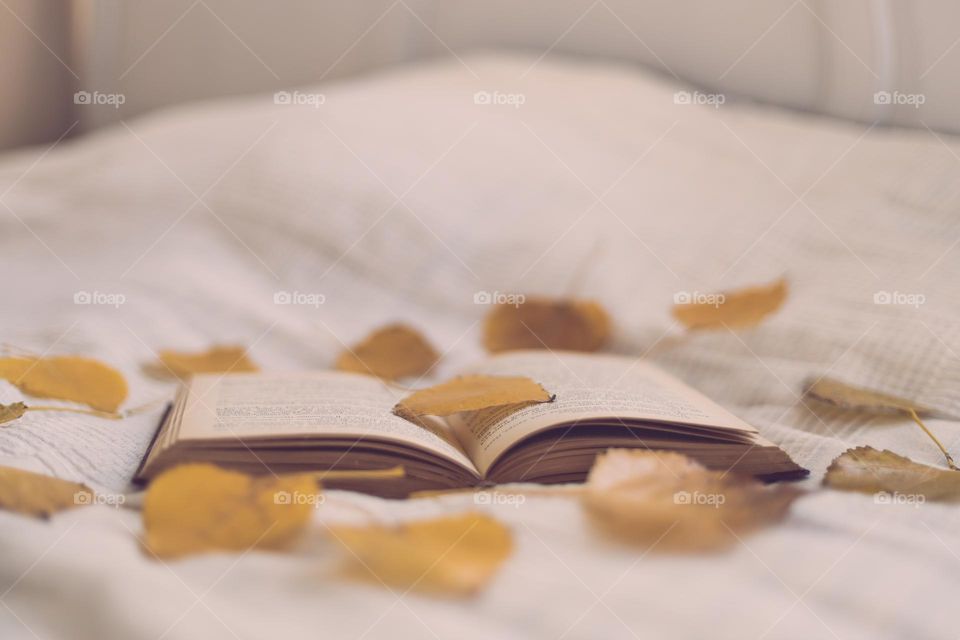 One open book with scattered yellow autumn leaves lies on a bed with a white blanket, close-up view from below.