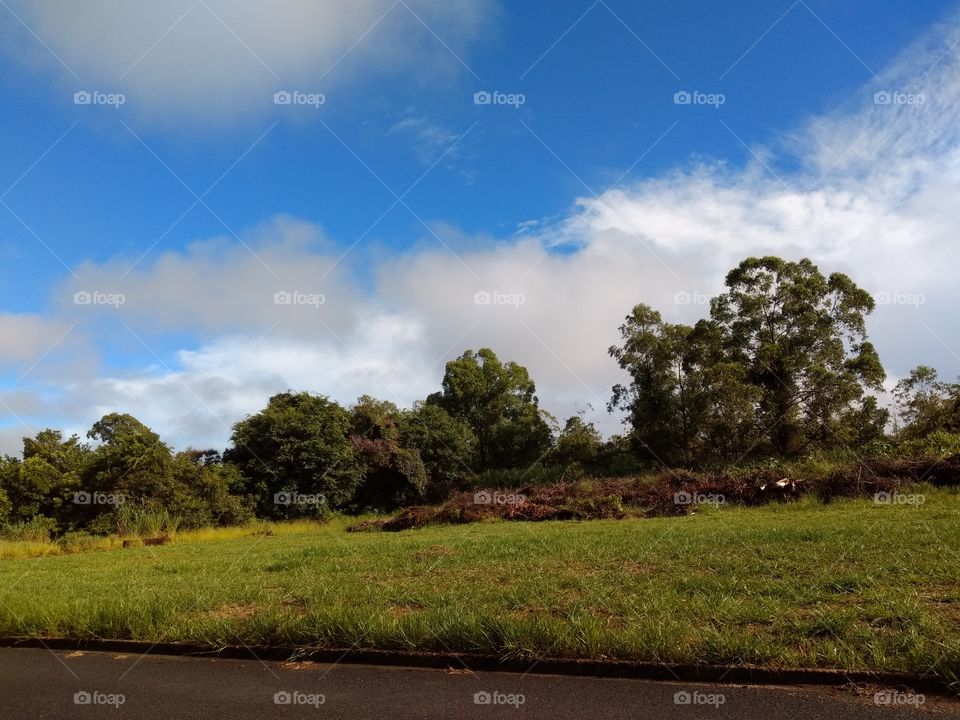 landscape: welcome foap