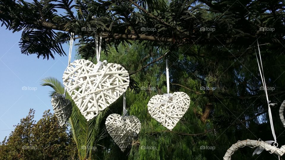 Hearts on a tree