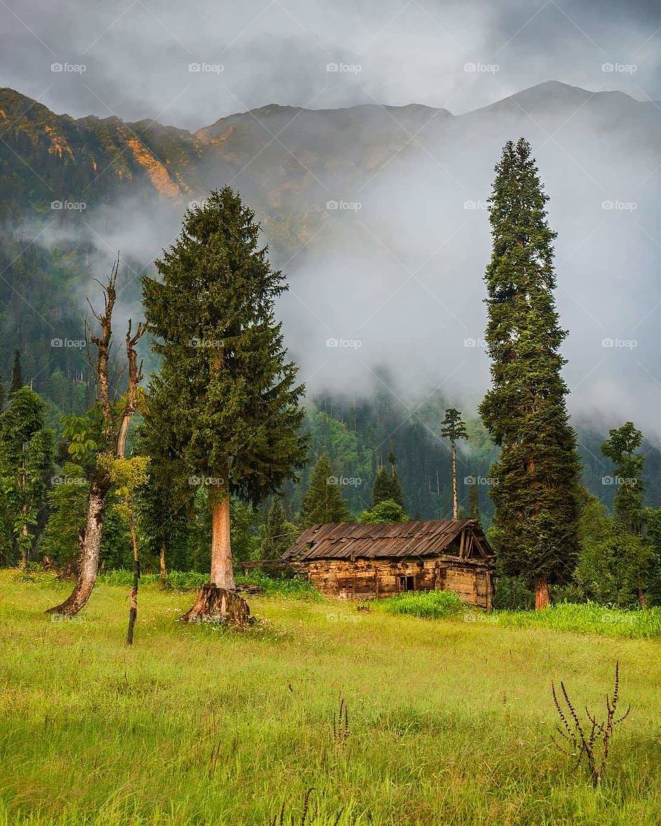 Pakistan naturel beauty