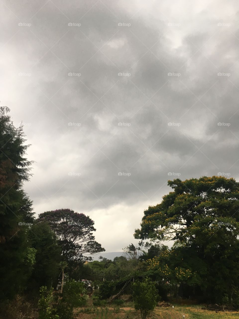 Bom dia. Hoje meu #cooper será um pouco mais tardio. E o tempo escureceu de vez!
Olha só como está carregado o #céu.
☔️ 
#paisagem
#natureza 
#fotografia
#árvores
#nuvens