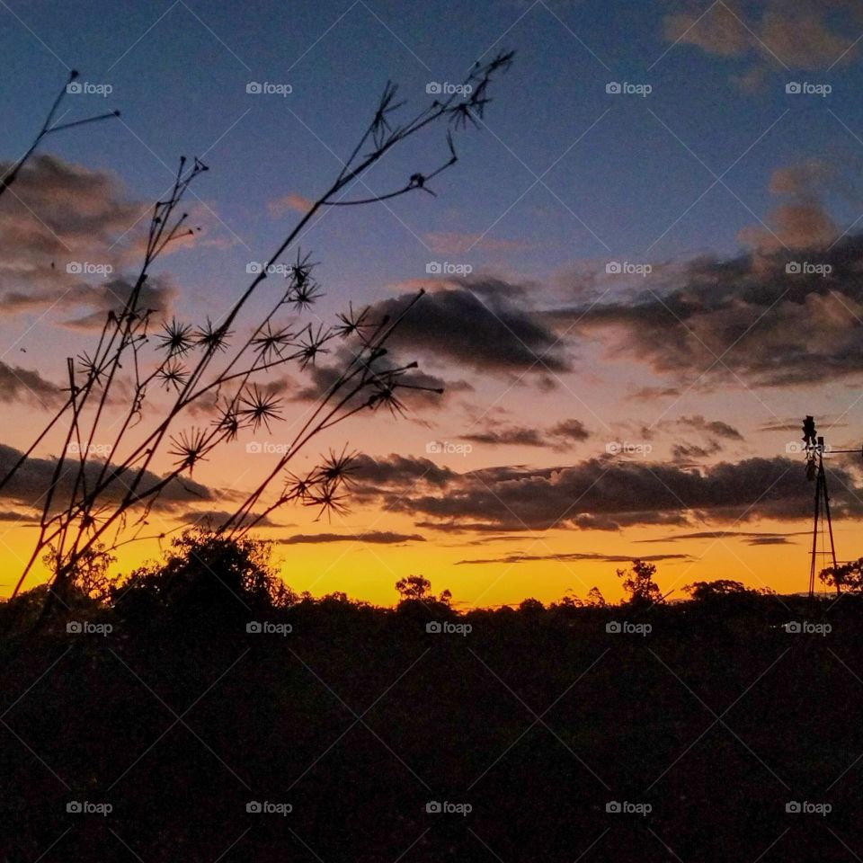 Majestic sunset with flower silhouette