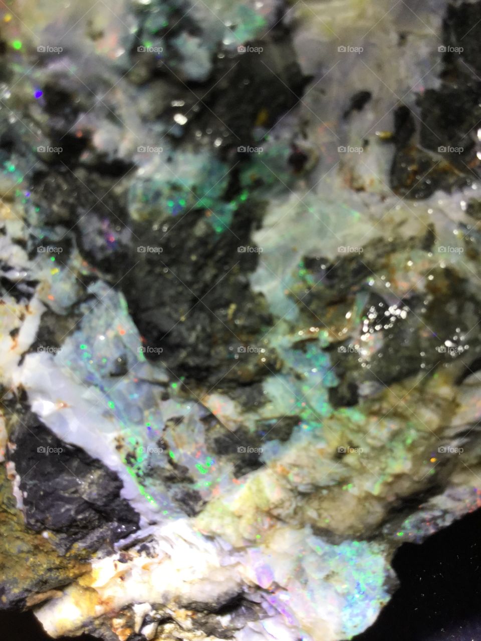 Coolgardie black opal 