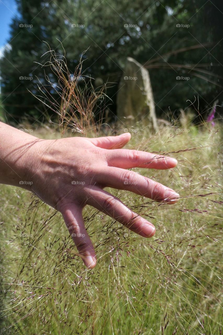 Hand touching tall grass