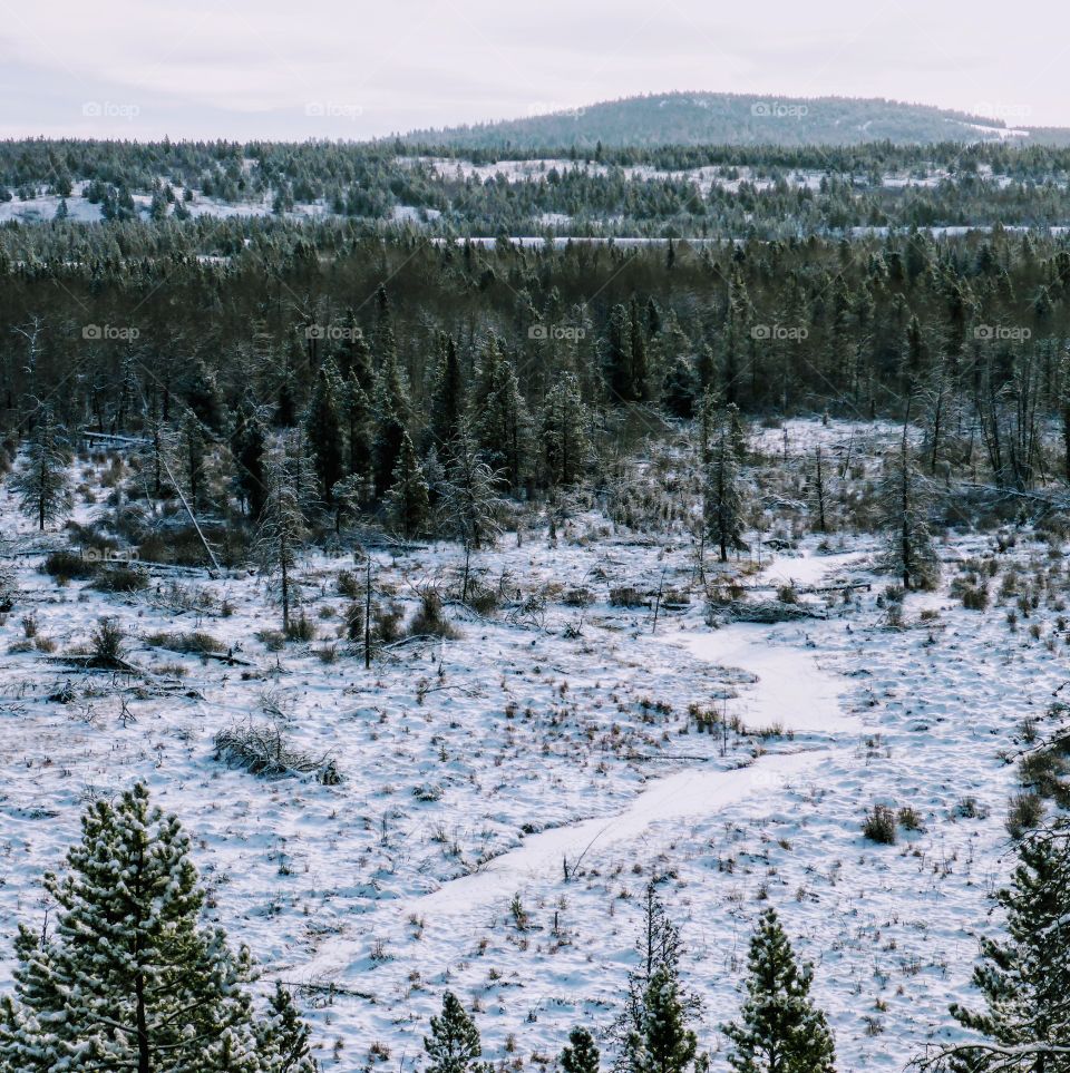 Frozen creek