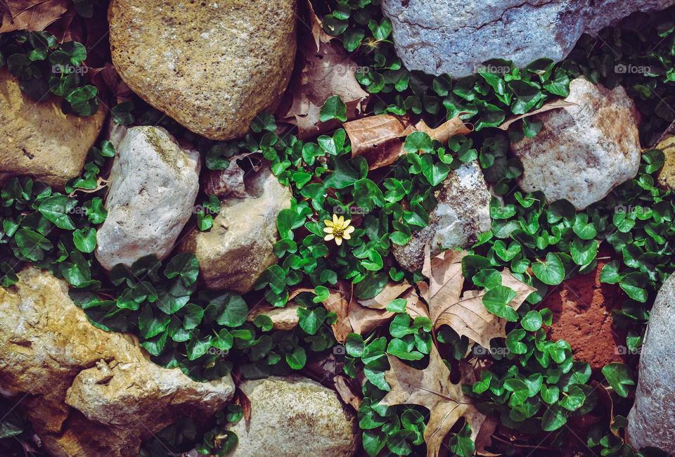 sometimes life begins at the moment you never expect