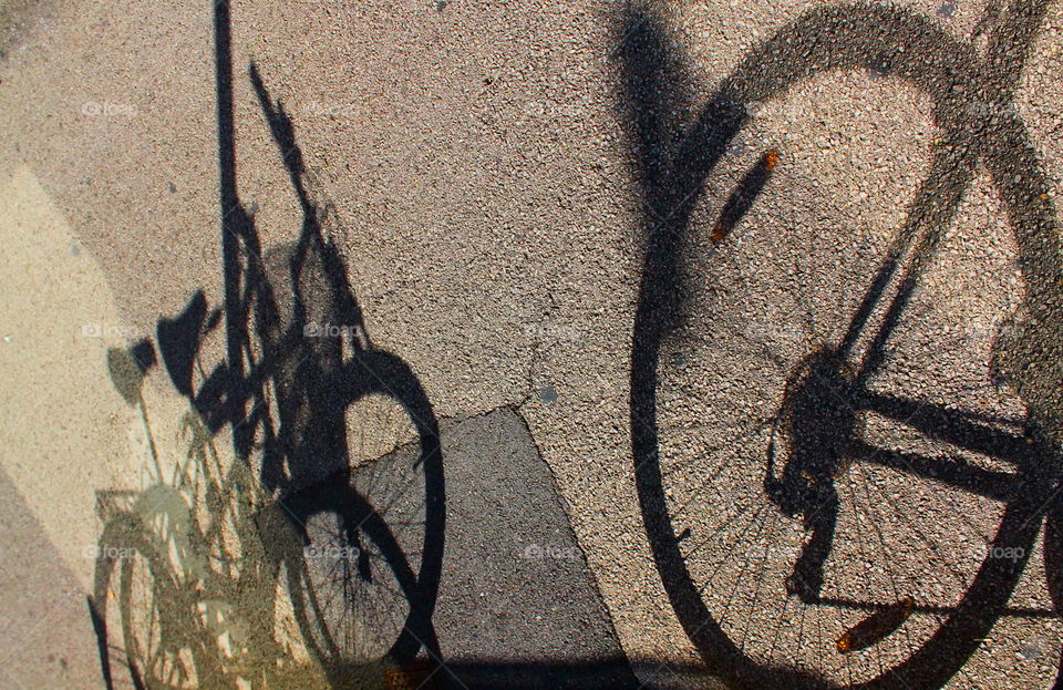 Shadow of the bike