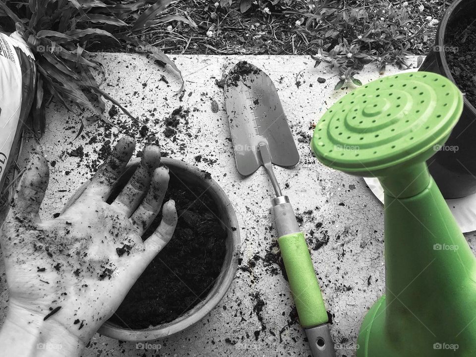 Black and white photo with a focus on the green. Gardening is life. 