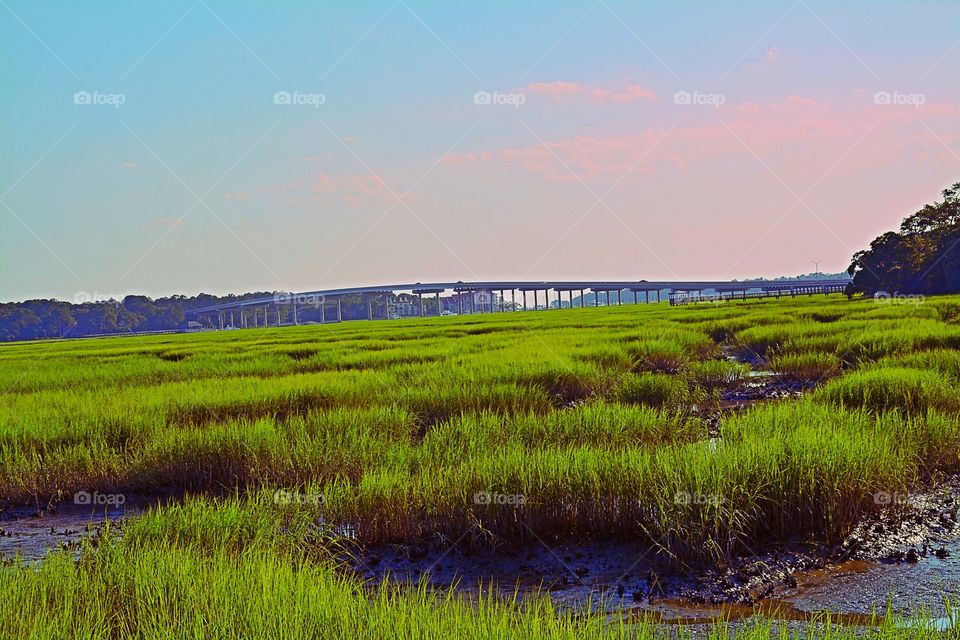 Marshland 2