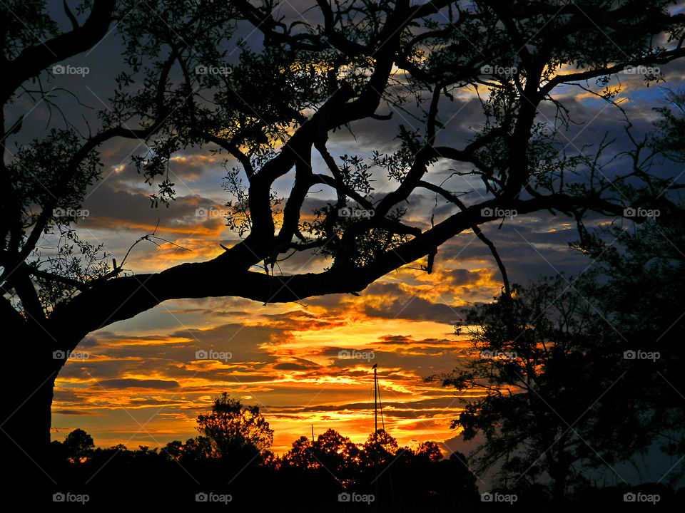 Amazing Silhouettes! Like the meeting of two worlds - the known and the unknown. The sun is like a great big romantic, inspirational fire in the sky. Brilliant streaks of yellow, orange, gold, blue, pink and red overcome the blue and purple of the sky. The sky resembled a prism; all the colors blended perfectly together. It's as if the colors and intensity of the light is just right! My work is done for today. I'm not sure what tomorrow will bring, but I'll be prepared for it!