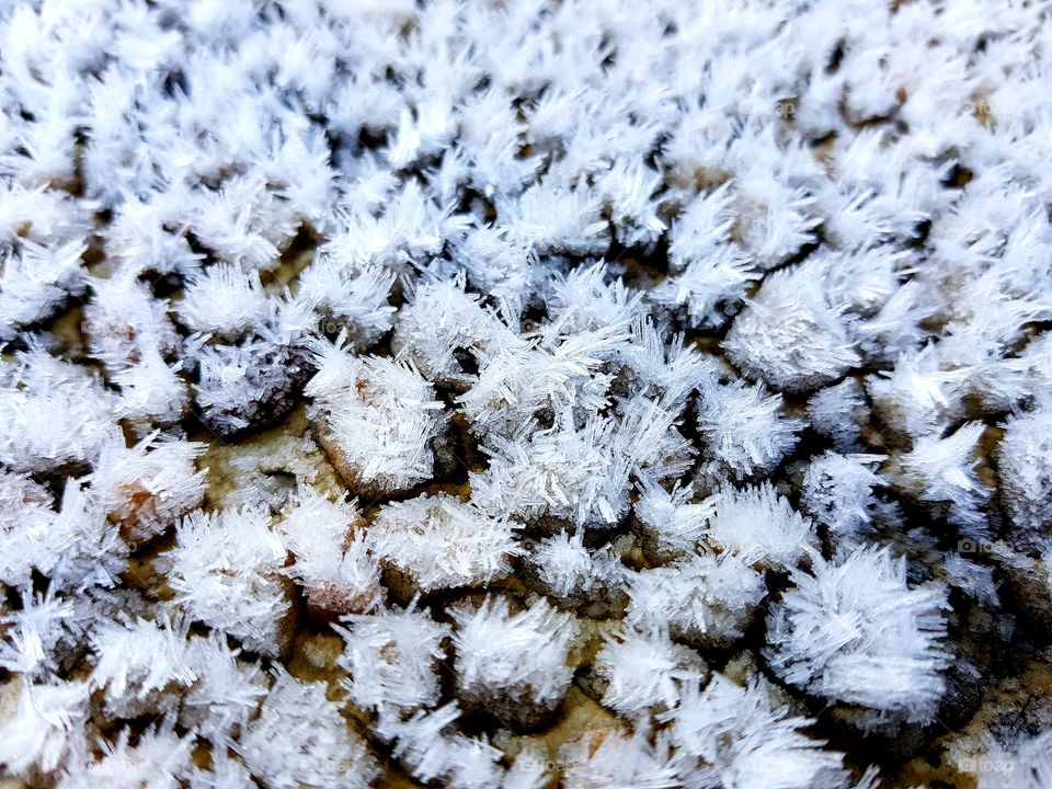 Frost on the ground // Givre sur le sol