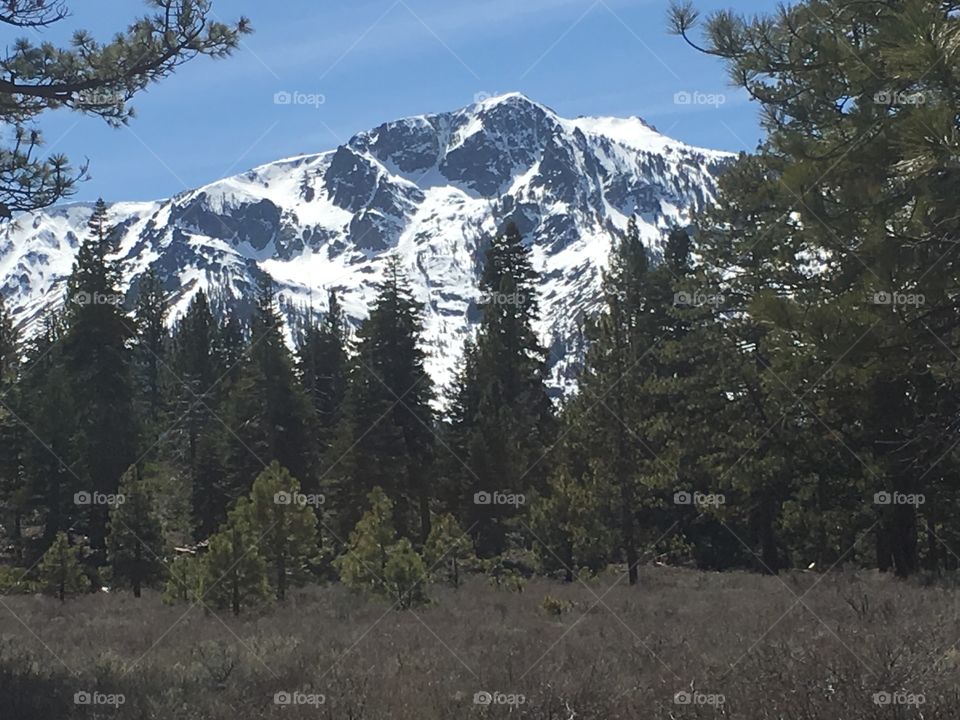 Tahoe mountain landscape