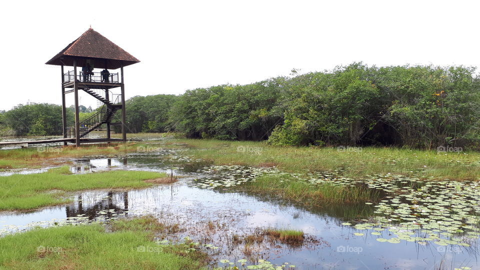 Daytime at Beddagana Wetland Park in Sri Lanka.