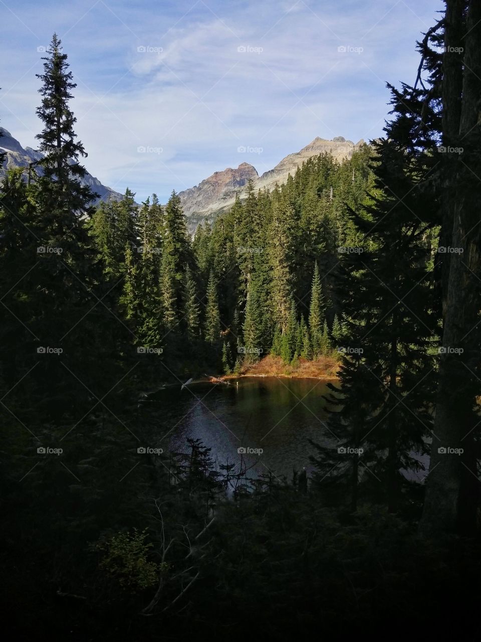 Scenic View of Mountain Lake. Nature sight seeing of forest lake filled with rain water and mountain peak in distance framed by tree shadow